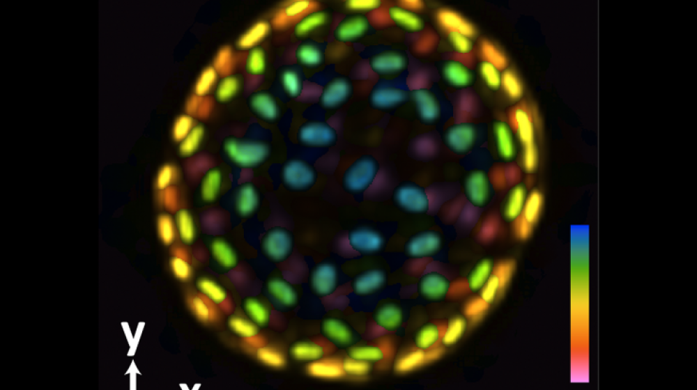 3D in a Snap Jia Lab Develops Next Generation System for Imaging